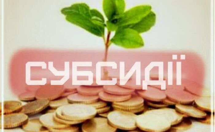 У зв’язку зі зростанням тарифу на електроенергію розмір субсидії перерахують автоматично
