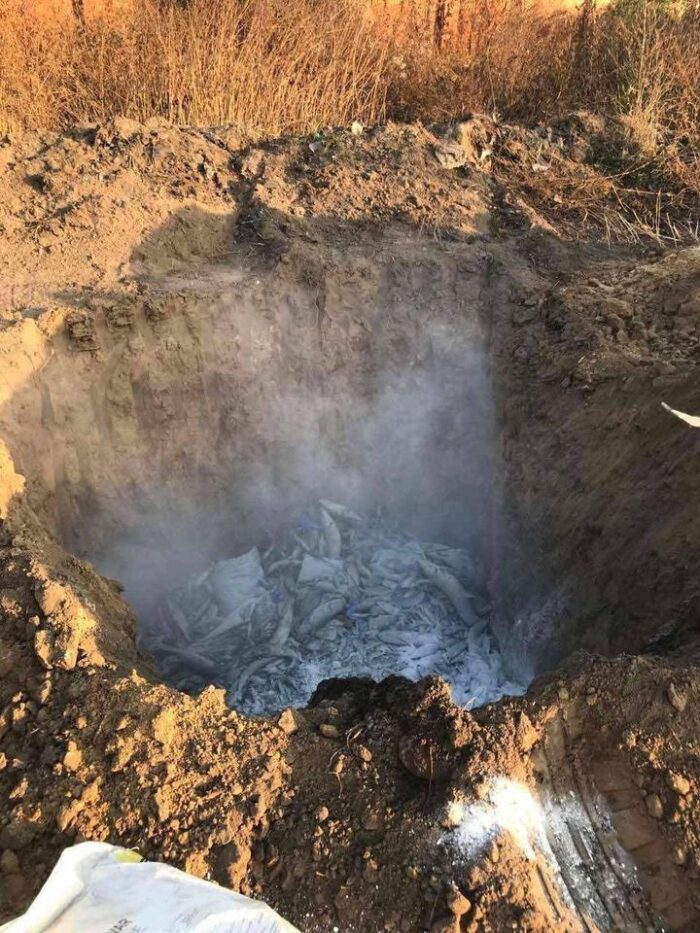 Яка ситуація з Сеймом і Десною?