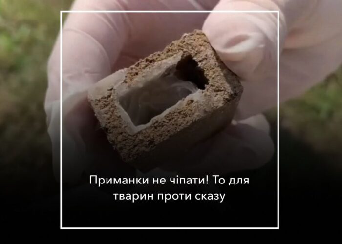 У громаді проводитимуть імунізацію диких тварин