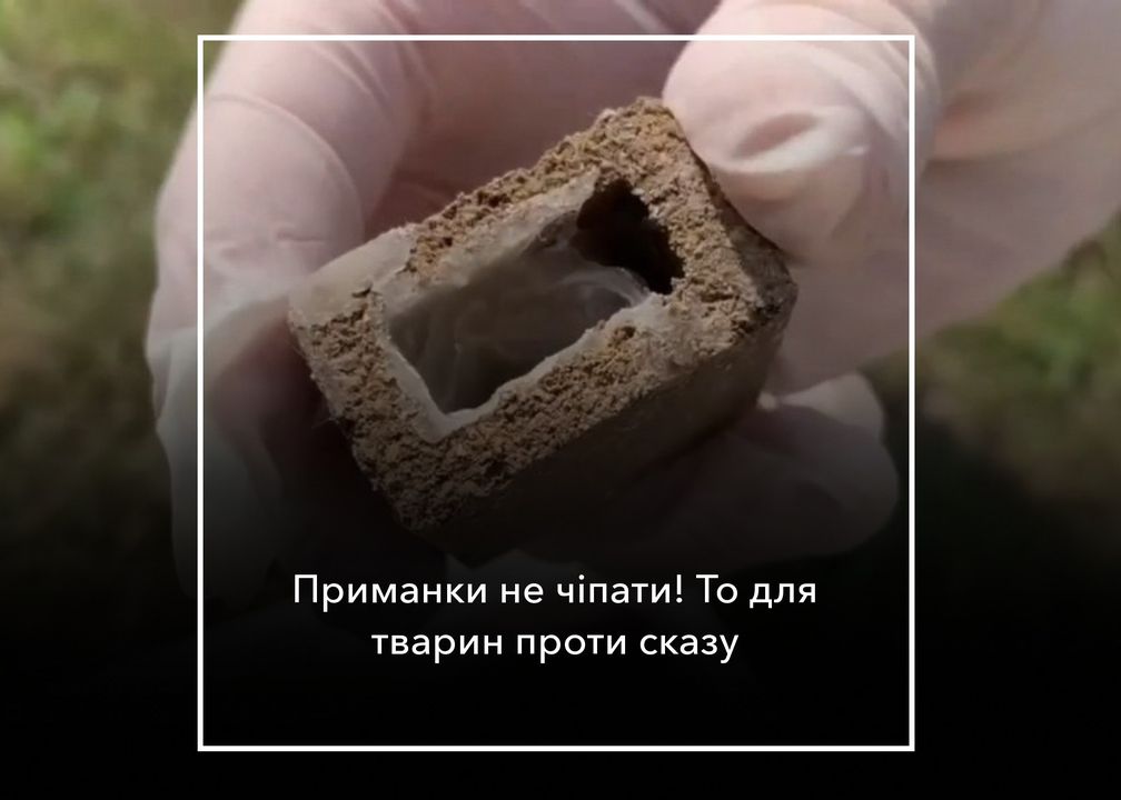 У громаді проводитимуть імунізацію диких тварин