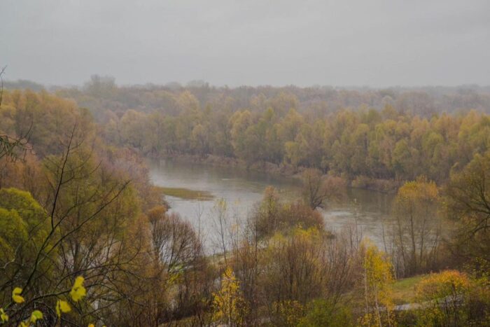 Доброго дня, громадо!🍁
