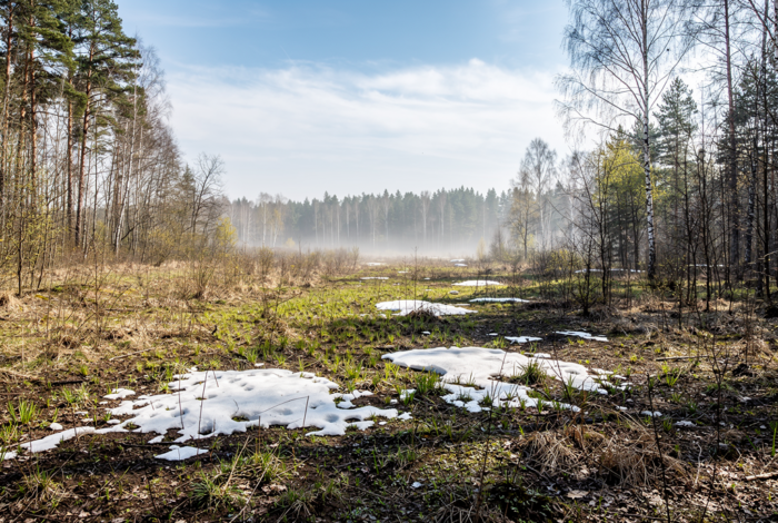 Погода у Батурині на 16.04.2026