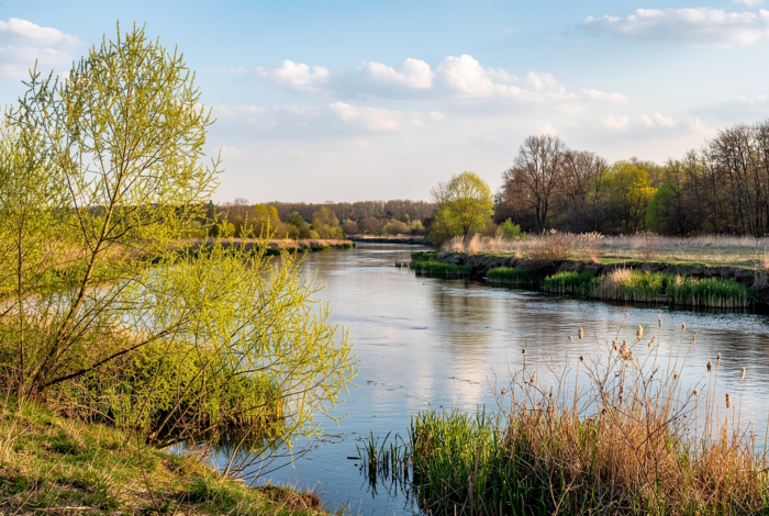 Погода у Батурині на 24.04.2026