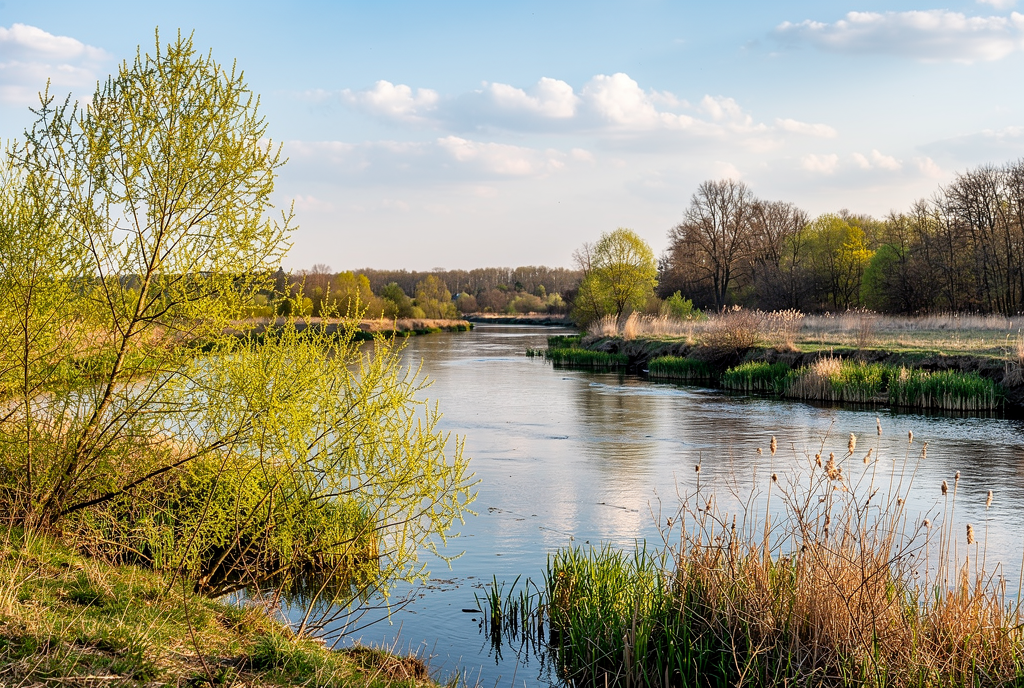 Погода у Батурині на 24.04.2026