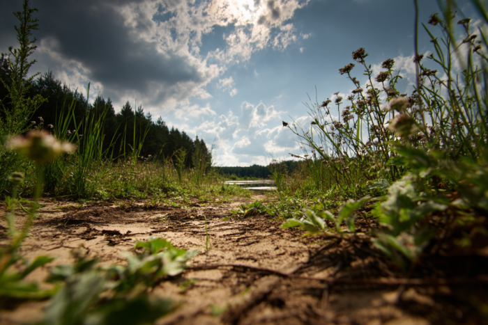 Погода у Батурині на 22.06.2026