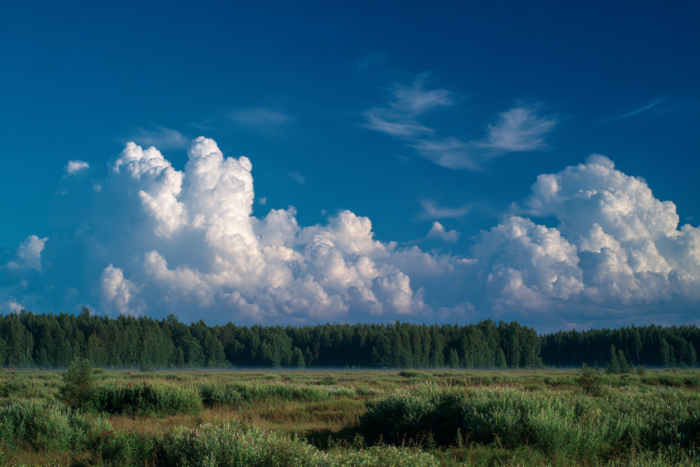 Погода у Батурині на 07.07.2026