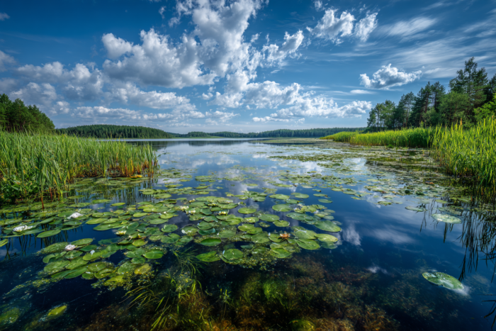 Погода у Батурині на 22.07.2026
